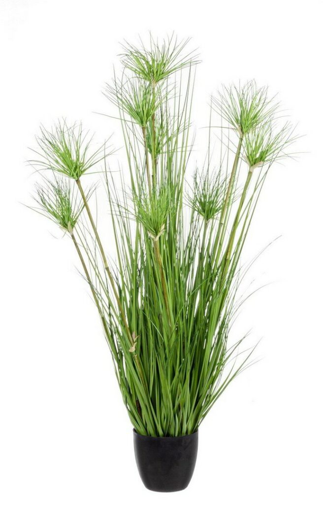 PLANTE DÉSERT VERT AC-POT X9F H120