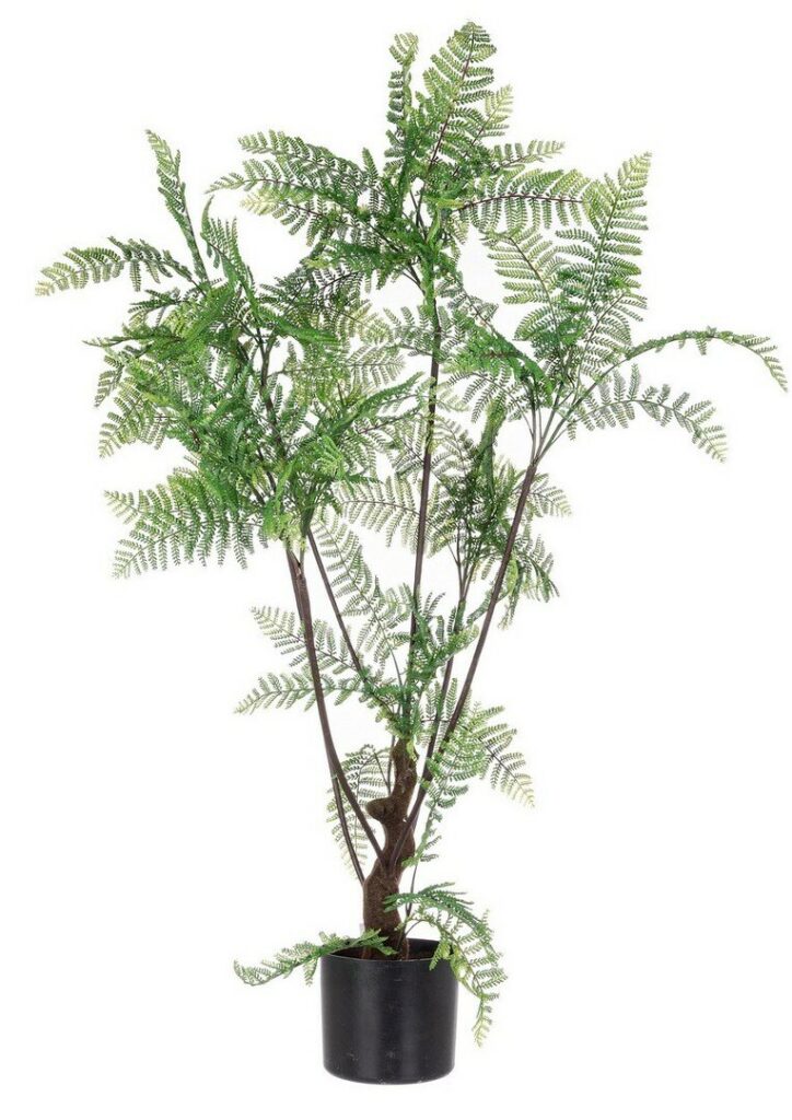 PLANTE FOUGÈRE AC-POT 75FEUILLES H108