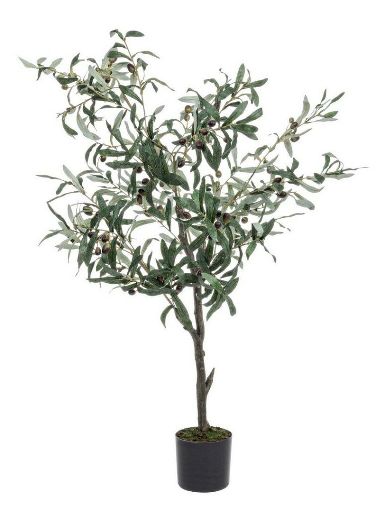 PLANTE OLIVIER AVEC-POT 492FEUILLES H120
