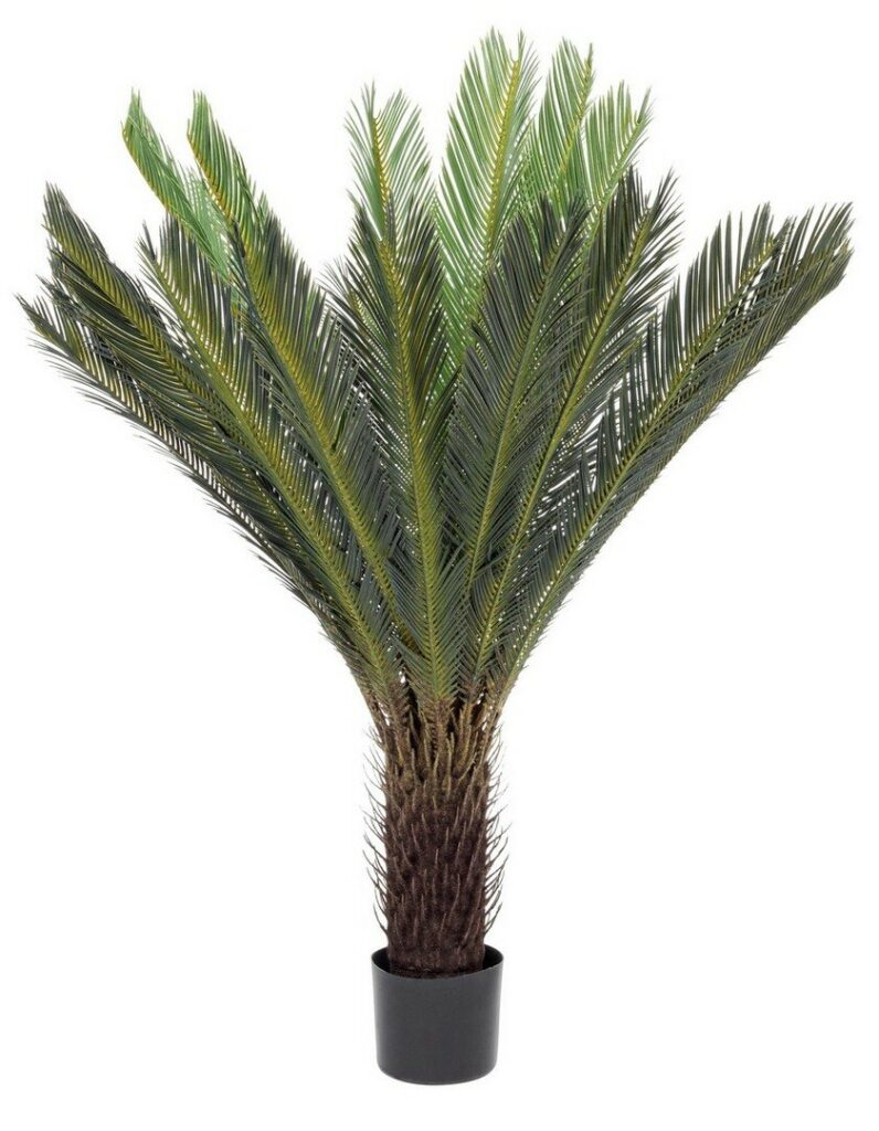 PLANTE PALMIER CYCAS AC-POT 28FEUIL.H120