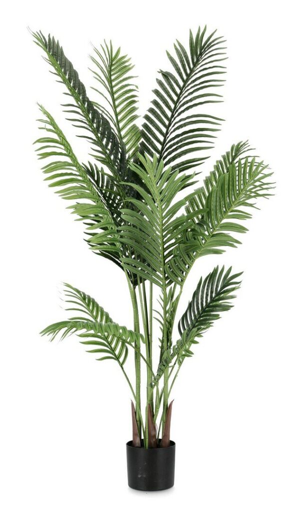 PLANTE KENZIA AC-VASE 15FEUILLES H140