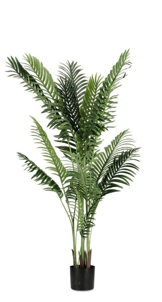 PLANTE KENZIA AC-VASE 17 FEUILLES H160