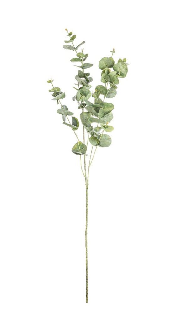 BRANCHE EUCALYPTUS LITTY VERT H93