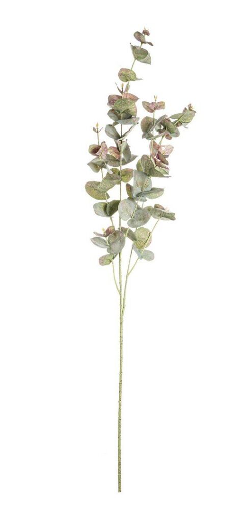 BRANCHE EUCALYPTUS LITTY VERT LIE DE VIN