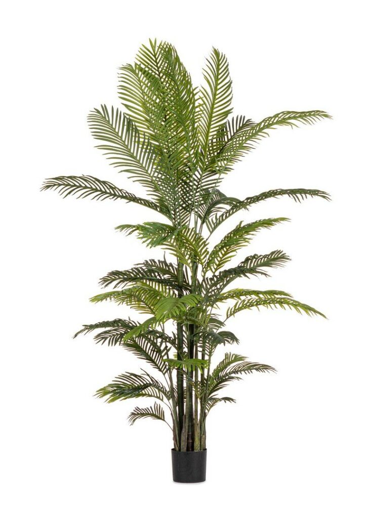 PLANTE KENZIA AC-VASE 33 FEUILLES H210