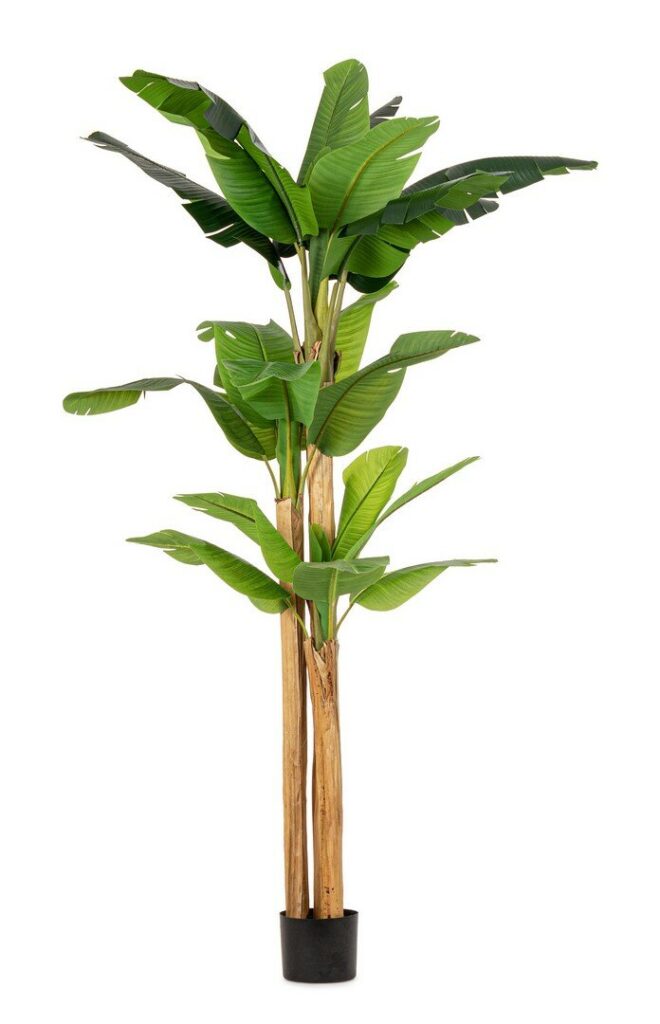 PLANTE BANANIER AC-VASE 24 FEUILLES H280