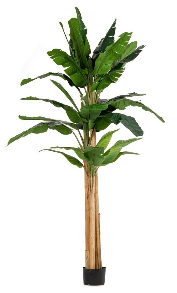 PLANTE BANANIER AC-VASE 24 FEUILLES H320