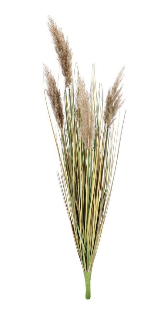 BRANCHE GYNERIUM PAMPAS H100