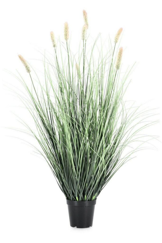 PLANTE PENNISETUM AC-VASE H90