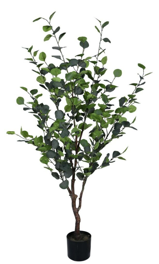 PLANTE EUCALYPTUS AC-VASE H150