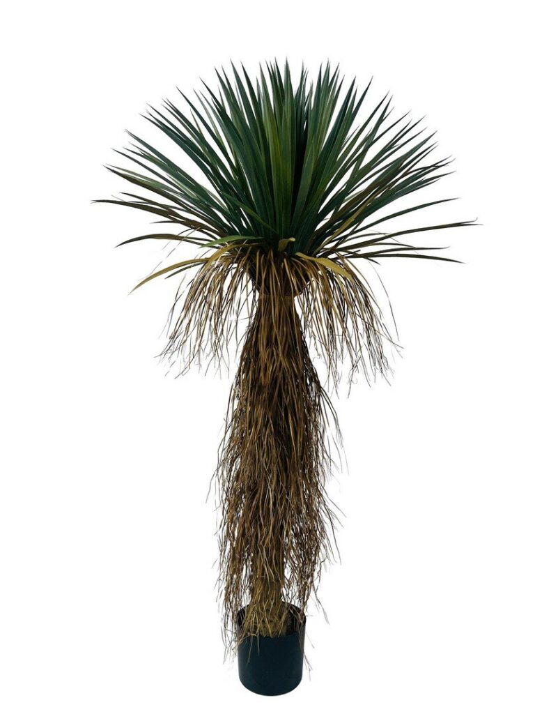 PLANTE YUKKA ROSTRÉ AC-VASE H150