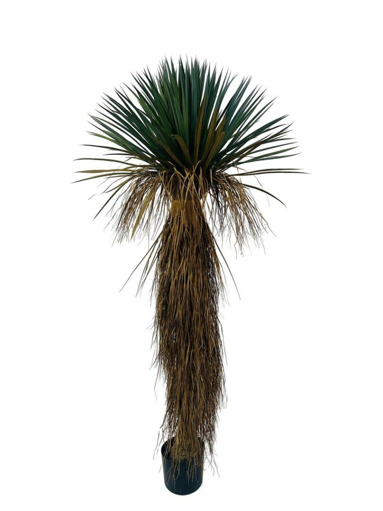 PLANTE YUKKA ROSTRÉ AC-VASE H180