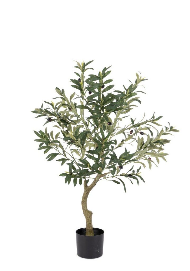 PLANTE OLIVIER AC-VASE H90