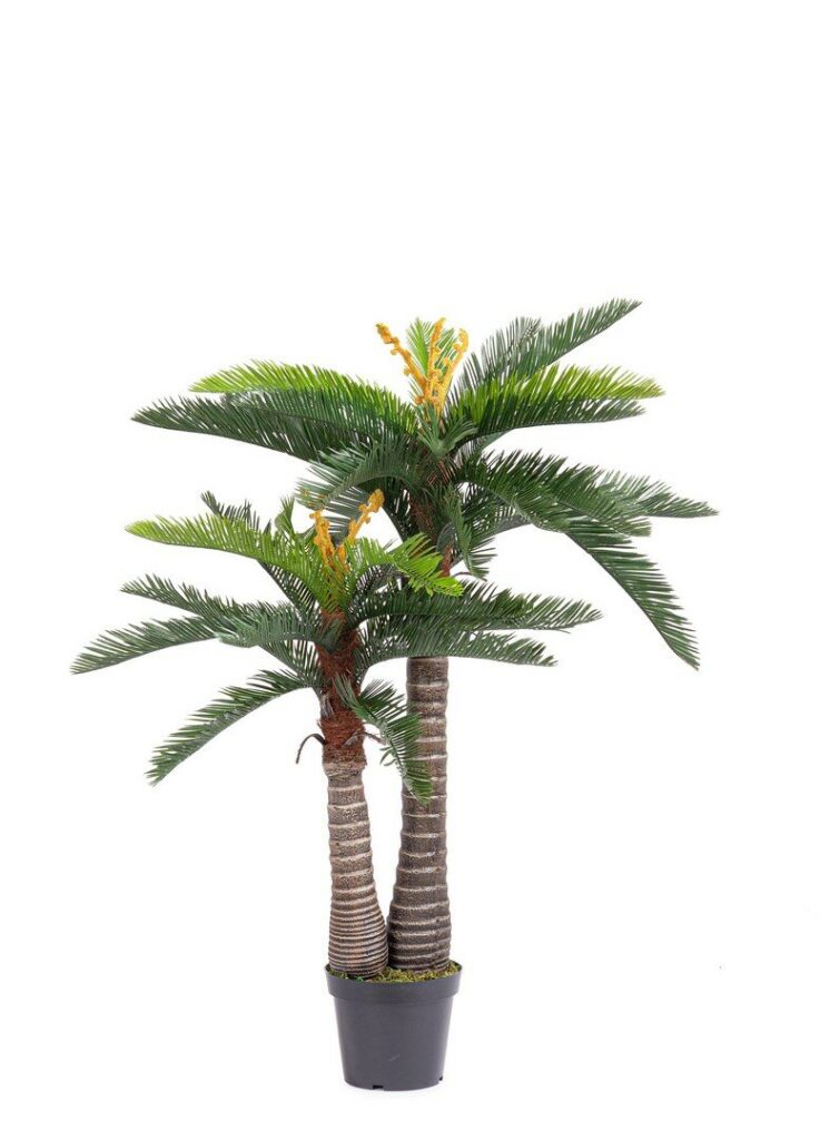 PLANTE PALME AC-VASE 36FEUILLES H150 UV